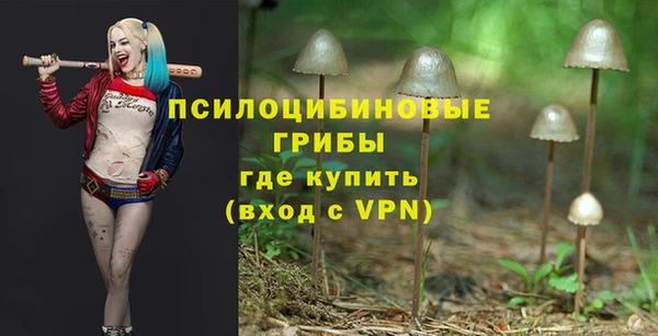 марки nbome Белокуриха