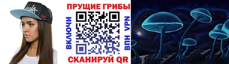 Галлюциногенные грибы MAGIC MUSHROOMS  Кушва 