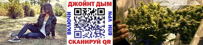 Канабис индика  Кушва 